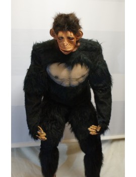 Chimp Ape Animal Hire Rental Deluxe Costume