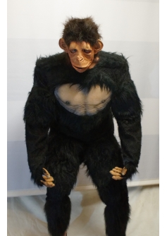 Chimp