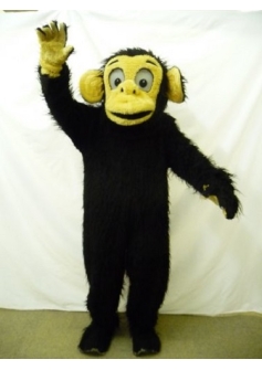 Genies Chimp Furry P1230993
