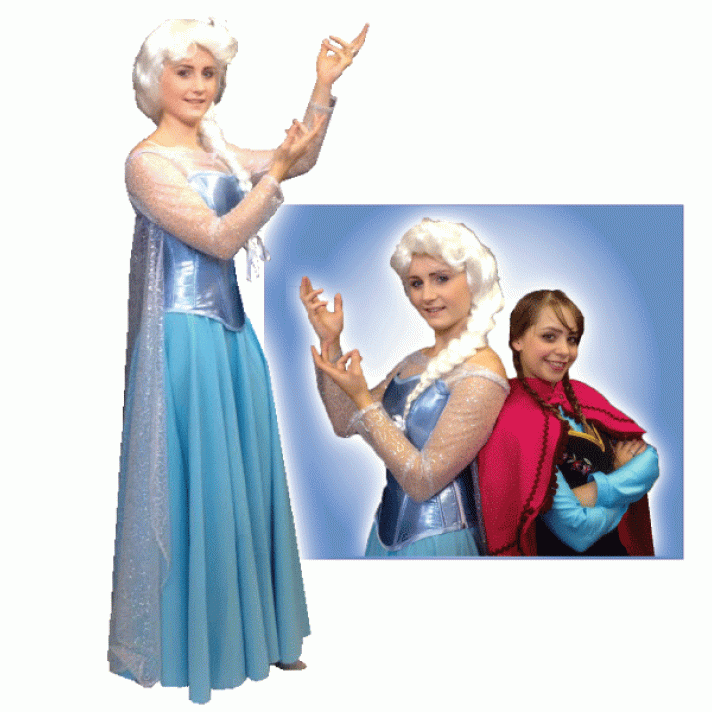 Frozen Elsa Deluxe Costume Make Believe BH15 BH15A
